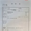 천지로 | 임신중독증과 태아 선천지로 보험금 받은 후기(feat.현대해상 태아보험)
