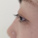 네일하러가 | 뷰러 필요 없는 찐편한 정관속눈썹펌 후기/ ‘정관네일하러가’에서 클리닉펌!
