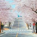달달 Daum카페