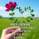 str 이미지
