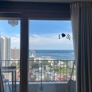 더블루테라 이미지