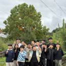 예랑도장 이미지