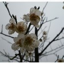 예향원[서] 네이버블로그