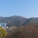 죽도봉길 이미지