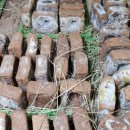 철원농장 이미지