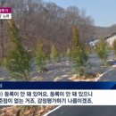 에메랄드그린 이미지