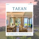 태안스파펜션 채플힐 | 태안 독채펜션 안면도 여행 해루질 바다낚시 가능한 숙소 추천