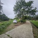 덕산면031 티스토리