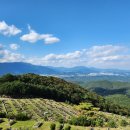 울산하늘공원 | 삼덕공원묘지 울산하늘공원 울산납골당 번거로움 없이!