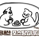 누구나홀닭반한닭 이미지