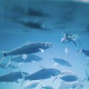 성북낚시터 이미지