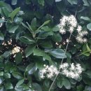 벌교읍사무소 이미지