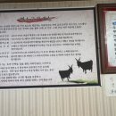 민속촌흑염소