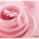 사랑- 아름다운 우 이미지