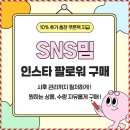 인스타PC | 인스타 팔로워 구매 셀프 계획 후기