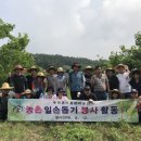 부여군시설관리공단 이미지