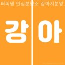 퍼피댕 안심분양소 강아지분양 애견입양 천안아산점 | 천안 강아지분양 퍼피댕 안심분양소 강아지분양 애견입양 천안아산점 정성으로 이어주는 소중한 인연