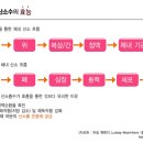 오투마켓