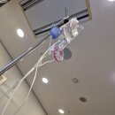 하늘보리피자 수월점 | 시온여성병원 제왕절개 출산 후기(1일차,2일차)