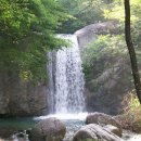 명호주유소 Daum카페