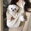 1238 이미지