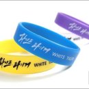 화이트타이거태권도장 이미지