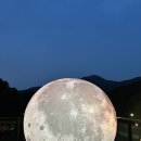 소유카페 이미지