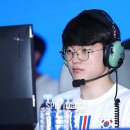 파이브울브즈