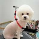 그루밍 모먼트 이미지