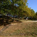 바람꽃펜션 이미지