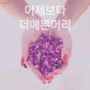 예쁜머리 이미지