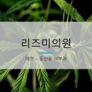 리즈미의원