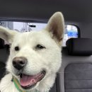 휴먼시아3단지 이미지