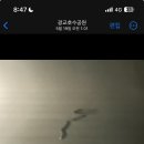 길만두 이미지