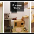 고양이 생활 호텔 이미지