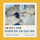 까사미아 캄포 소파 세탁하는법_서울 광진구 자양동 업체 청소 후기