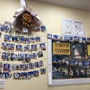 럭셔리펫 이미지