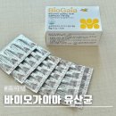 아기 가루 유산균 바이오가이아 프로텍티스 미니팩 프로바이오틱스