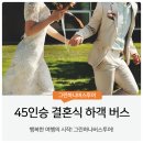 수송문구 | 45인승 버스 결혼식 하객 수송 견적 팁