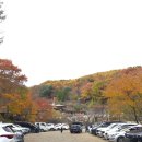 삼성궁 | 경남 하동 단풍 명소 가볼 만한 곳 추천 삼성궁 다녀온 후기