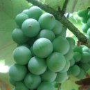 만해가든 이미지