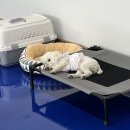 개편한 스쿨 이미지