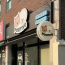 포즈티브 이미지