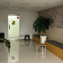 태교여행 | 내돈내산 제주도 돌하루팡 예약 에스제이 렌트카 이용 후기