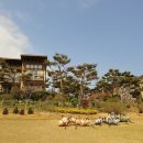 나문재관광농원 이미지