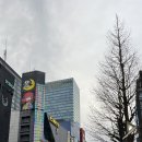 엔케이렌트카 | [TAS2026] 대한민국은 노답 튜닝카의 나라 ep.4