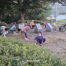 새벽추석맞이시비공원대청소참석토요일뿅뿅다리주차장근무를마치고한우가에서지인과저녁식사를15,350보11.69km 이미지