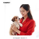 인천부평 요미독앤캣 강아지분양 고양이분양 이미지