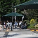 그늘막81 이미지