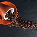 바리스타2급 자격증 이미지